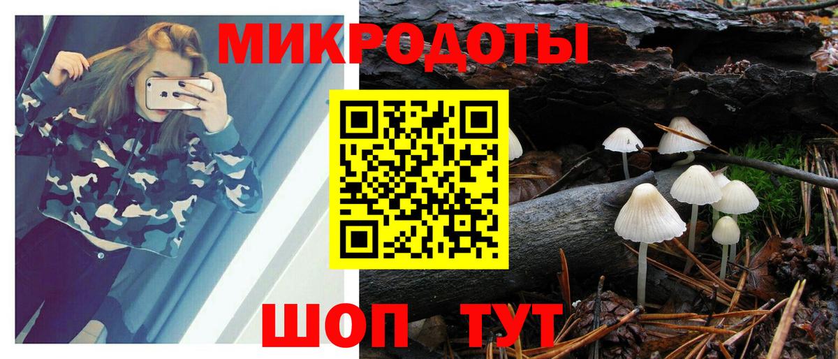 Набережные Челны  Галлюциногенные грибы прущие грибы  Вход с VPN 